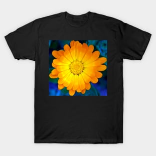 Callendula at Magpie Springs by Avril Thomas T-Shirt